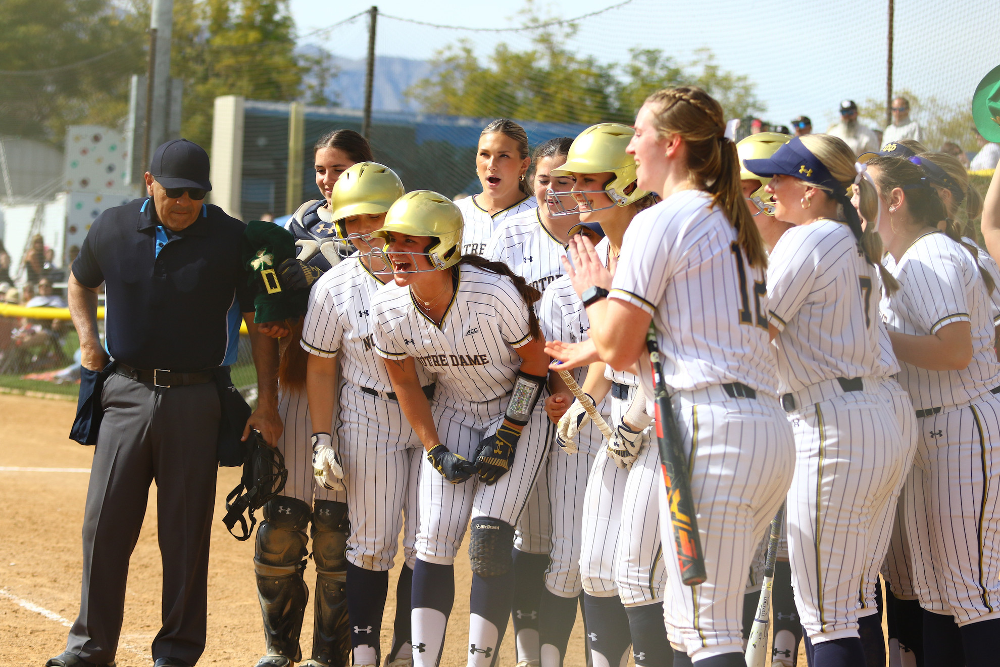 Irish Host #21/20 Clemson In ACC Weekend Series Irish Host #21/20 Clemson In ACC Weekend Series