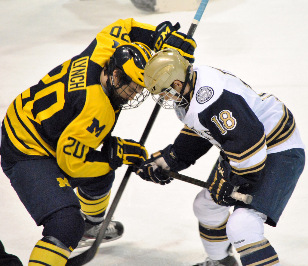 Hockey vs. Michigan