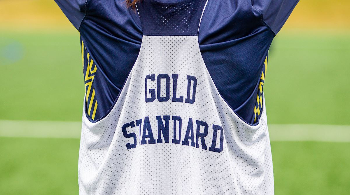 Nine Irish Placed on ACC All-Academic Team Nine Irish Placed on ACC All-Academic Team