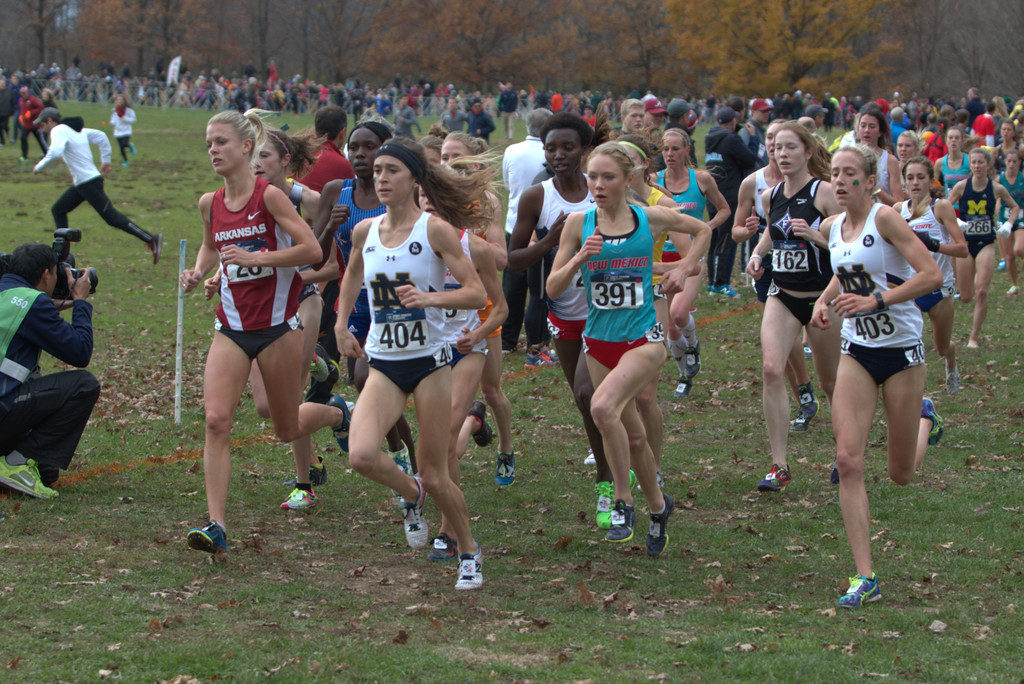 2015 NCAA Cross Country Championships