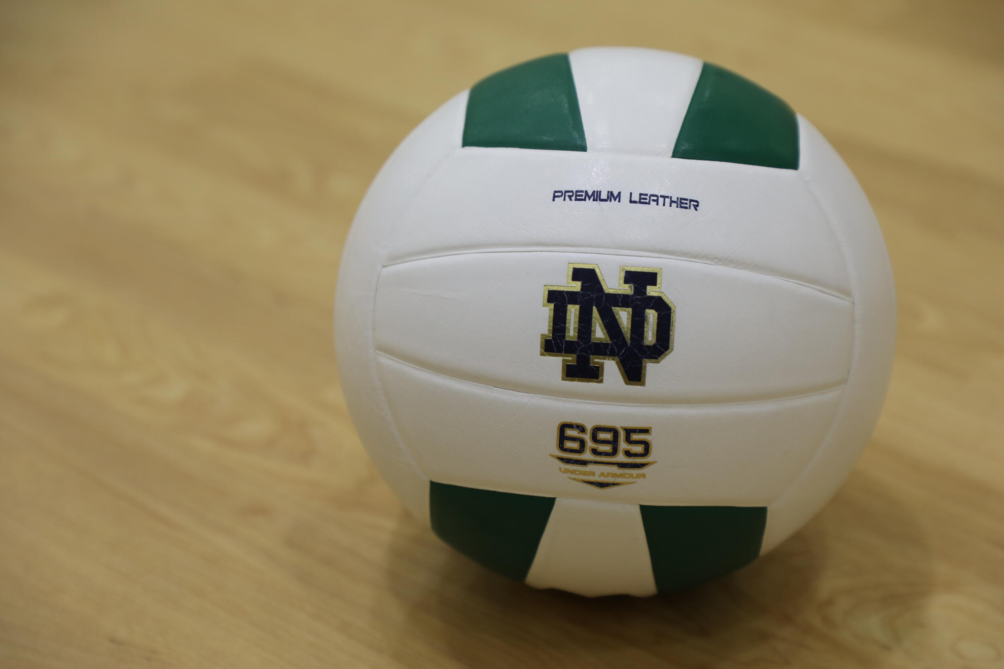 Disney Bronnenberg Joins Irish Volleyball As Volunteer Assistant Disney Bronnenberg Joins Irish Volleyball As Volunteer Assistant