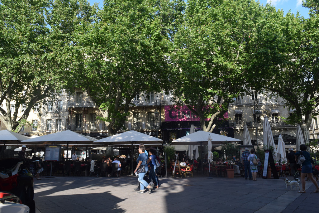 Irish Abroad in France: Avignon