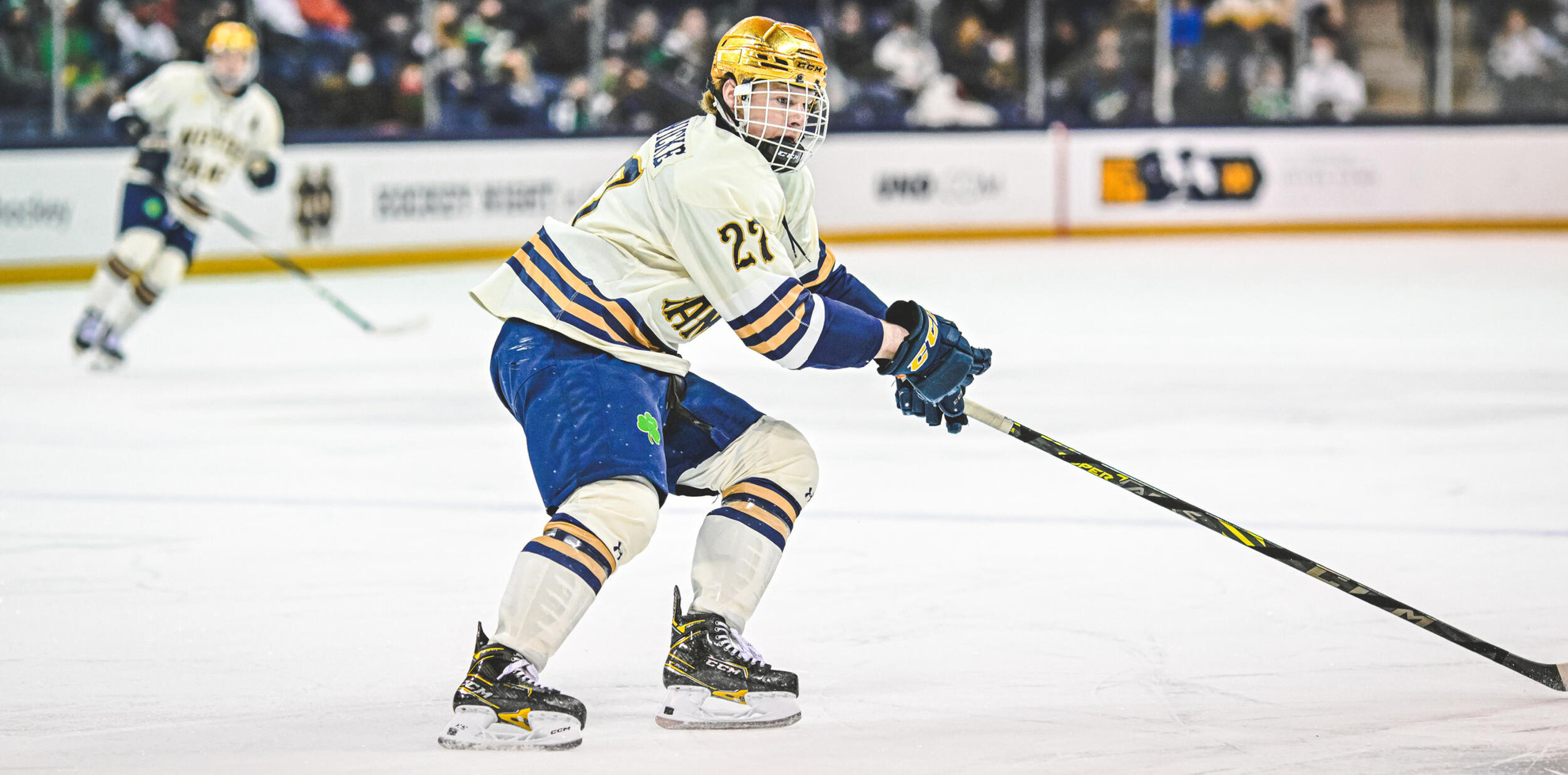 Irish Trio Earns Big Ten Distinguished Scholar Honors Irish Trio Earns Big Ten Distinguished Scholar Honors