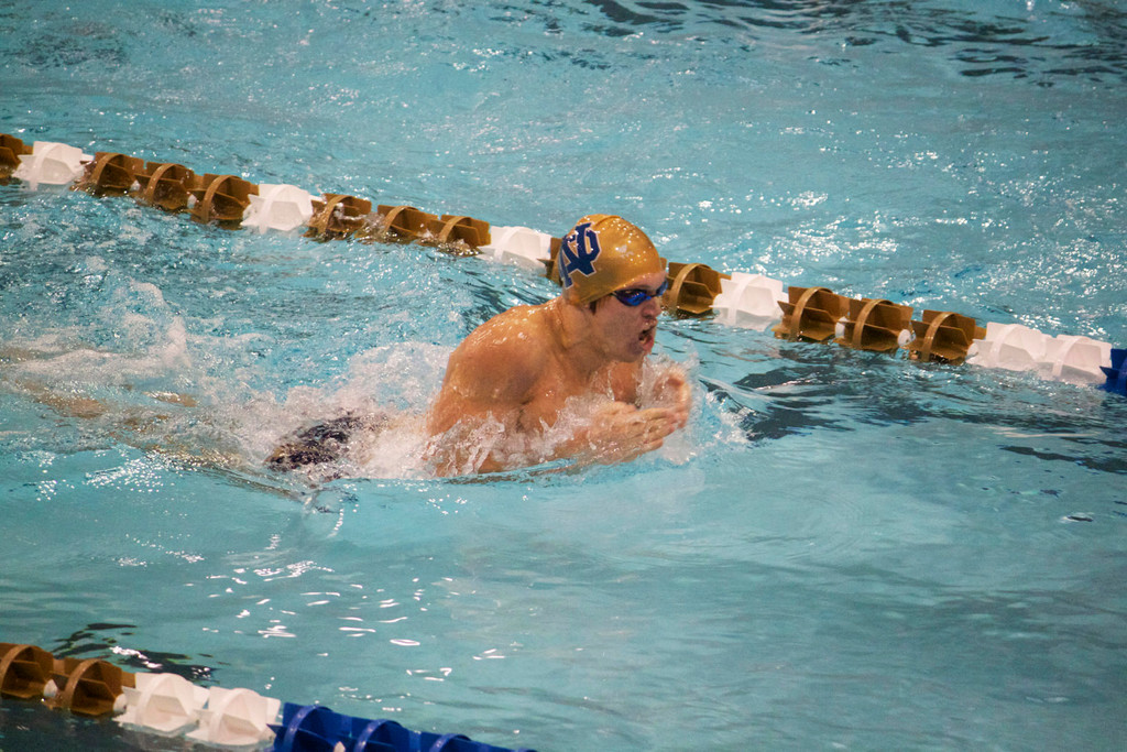 Mens and Womens Swimming, Shamrock Invitational Day 2