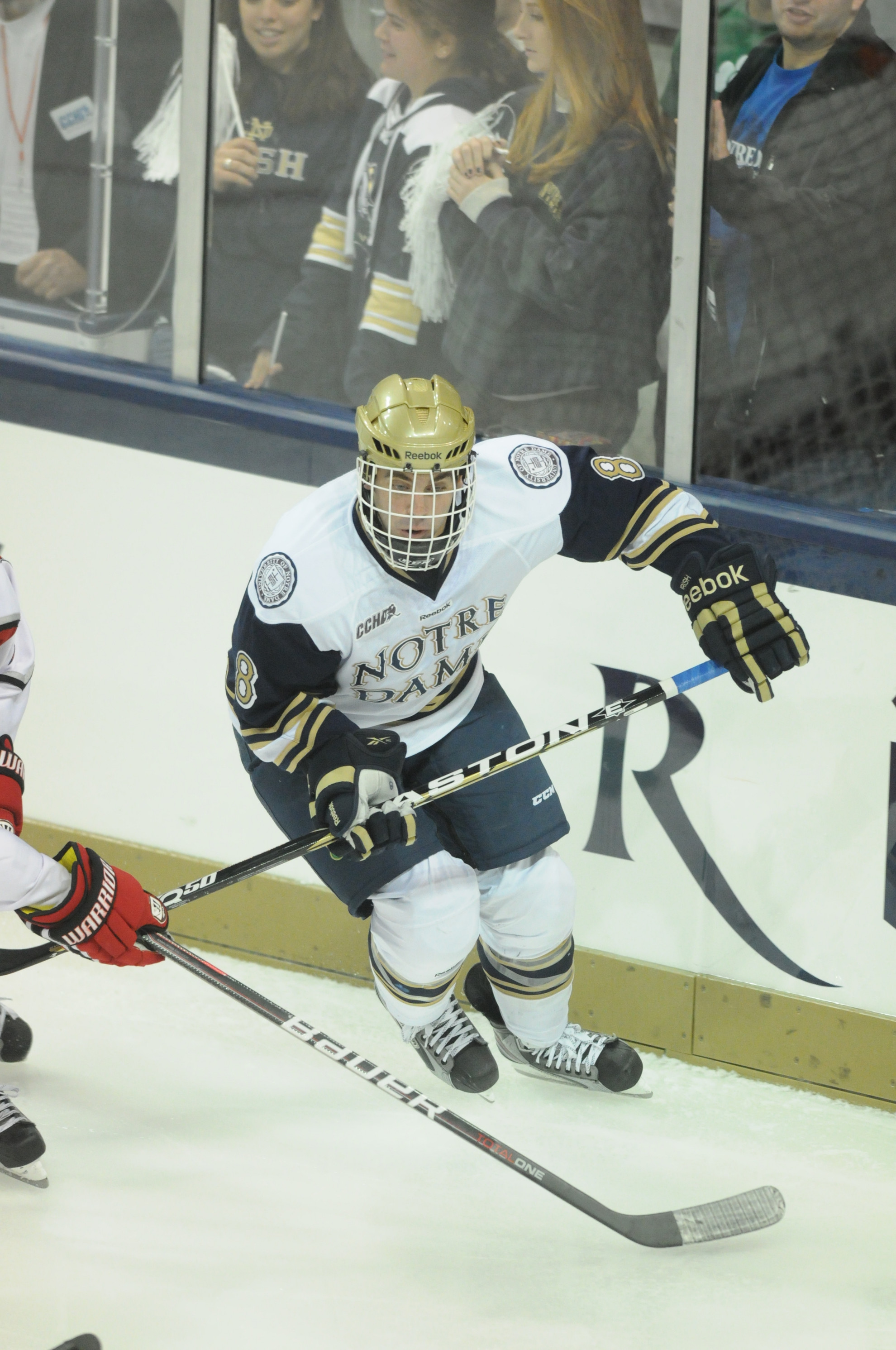 Irish Fall At Ferris State, 4-1 Senior defenseman Sam Calabrese leads a veteran Irish defense against Alaska this weekend at the Compton Family Ice Arena.