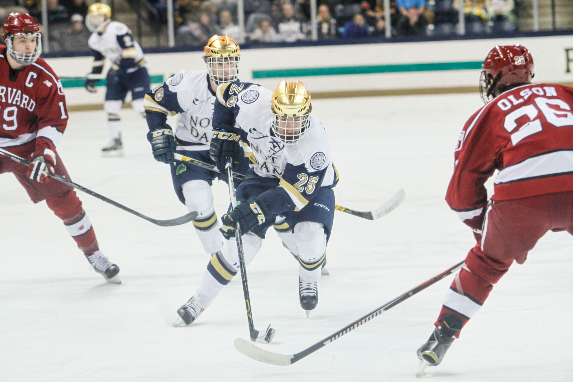 Current and Future Notre Dame Players Ranked By NHL Central Scouting Dylan Malmquist is tied for second on the team with eight goals.