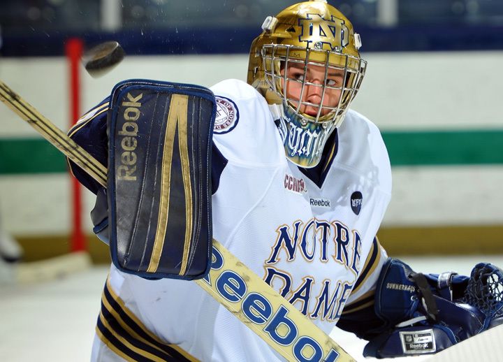 Steven Summehays made 31 saves in the 4-2 win over Ohio State to send the Irish to the second round of the CCHA playoffs.
