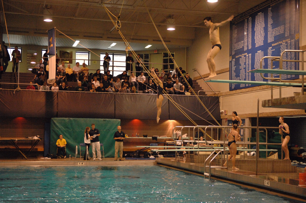 2007-08 Men's Swimming and Diving