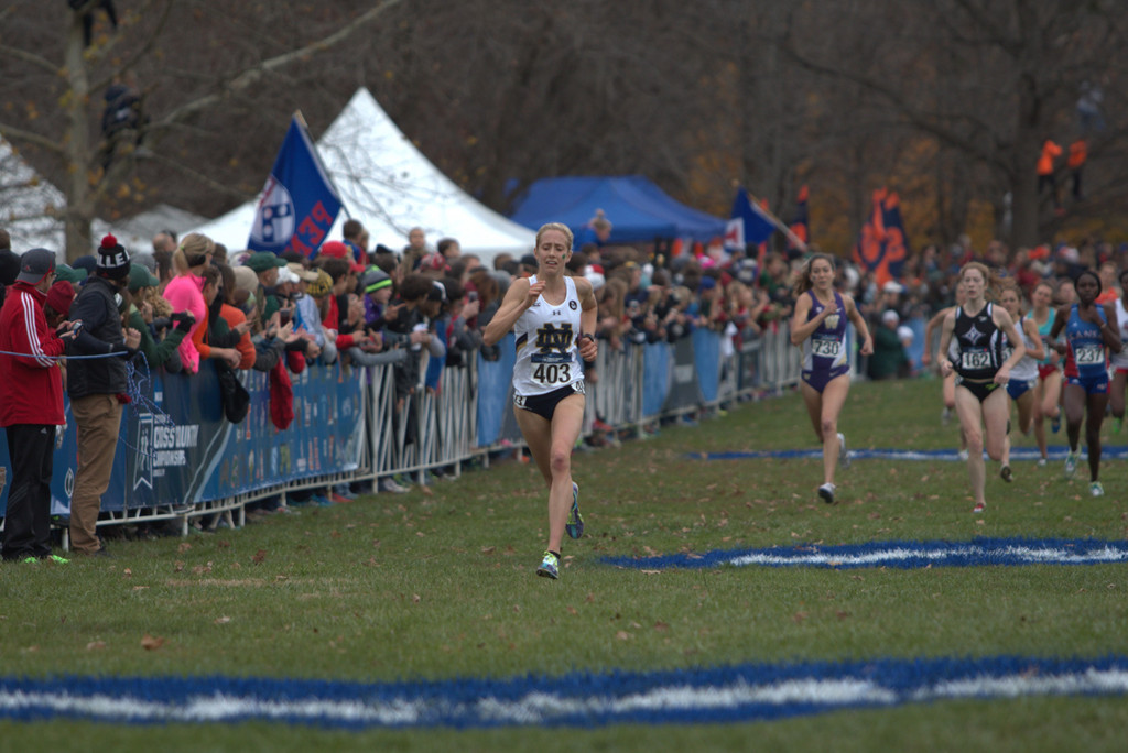 2015 NCAA Cross Country Championships