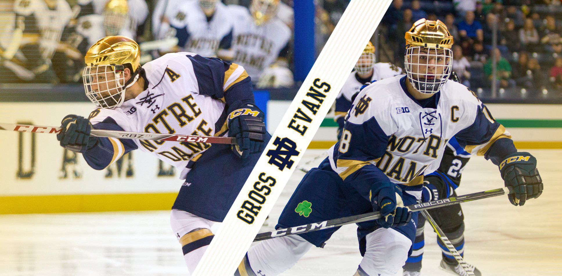 Evans And Gross Earn Big Ten Honors Evans And Gross Earn Big Ten Honors