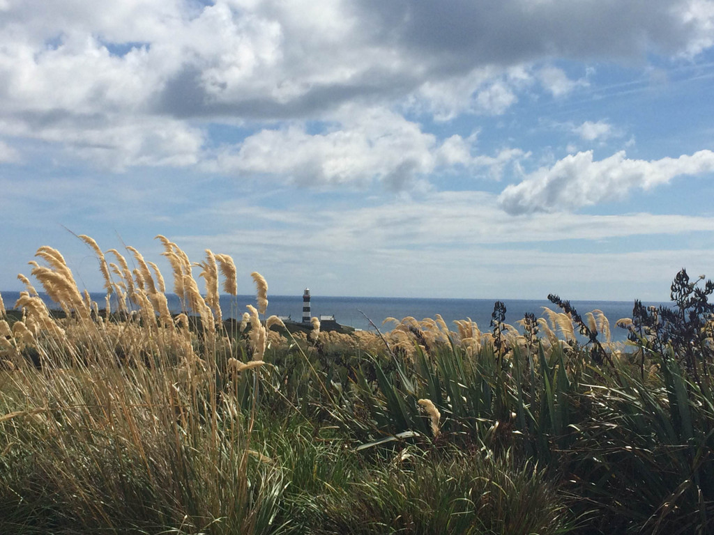 2014 Notre Dame Women's Golf in Ireland