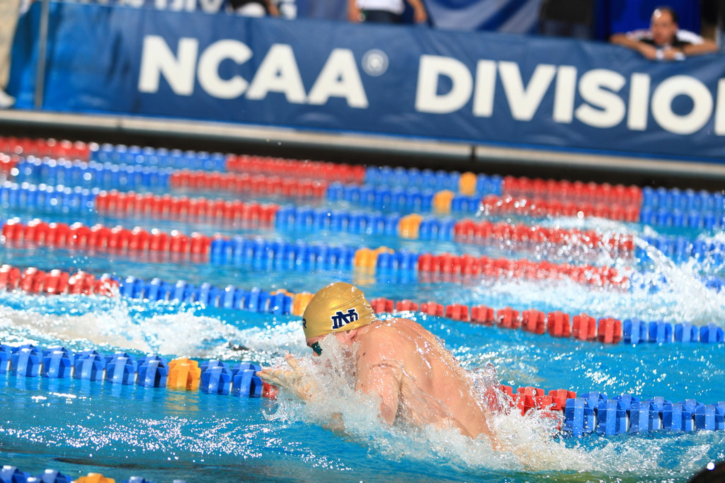 Men's NCAA Swimming Championship