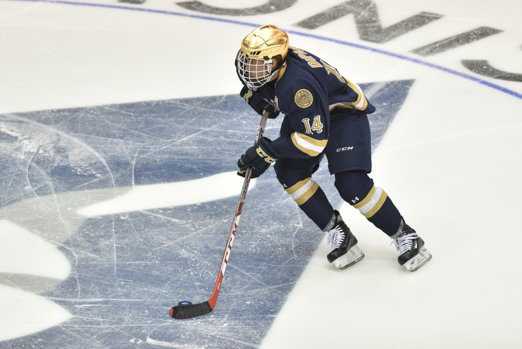 2016 NCAA Hockey Regional - Cincinnati, Ohio (Notre Dame vs. Michigan)