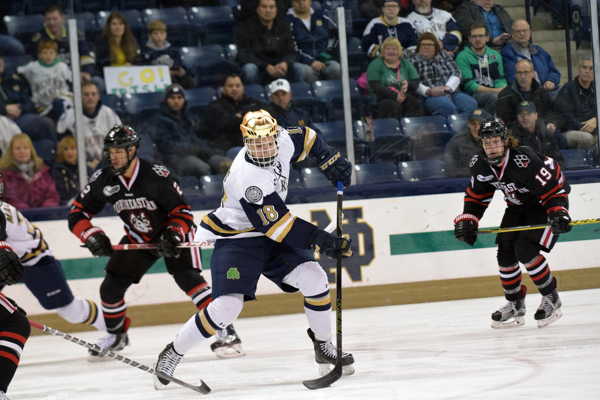 Playoff Picture: #10 Irish Look To Secure First Round Hockey East Bye Sophomore center Jake Evans leads the Irish with a career-high 32 points (8-24-32).