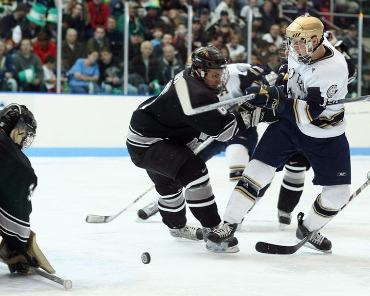 Freshman left wing Robin Bergman had a goal and six assists for Notre Dame in 20 games this season.