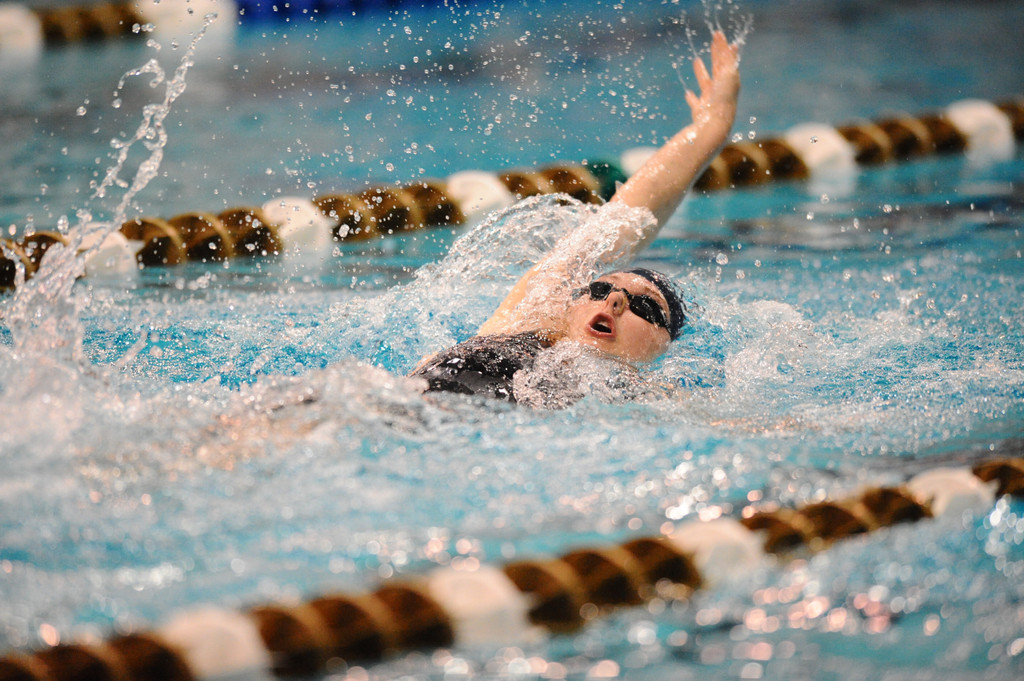 Shamrock Invitational - Jan. 31 - Feb. 1, 2014