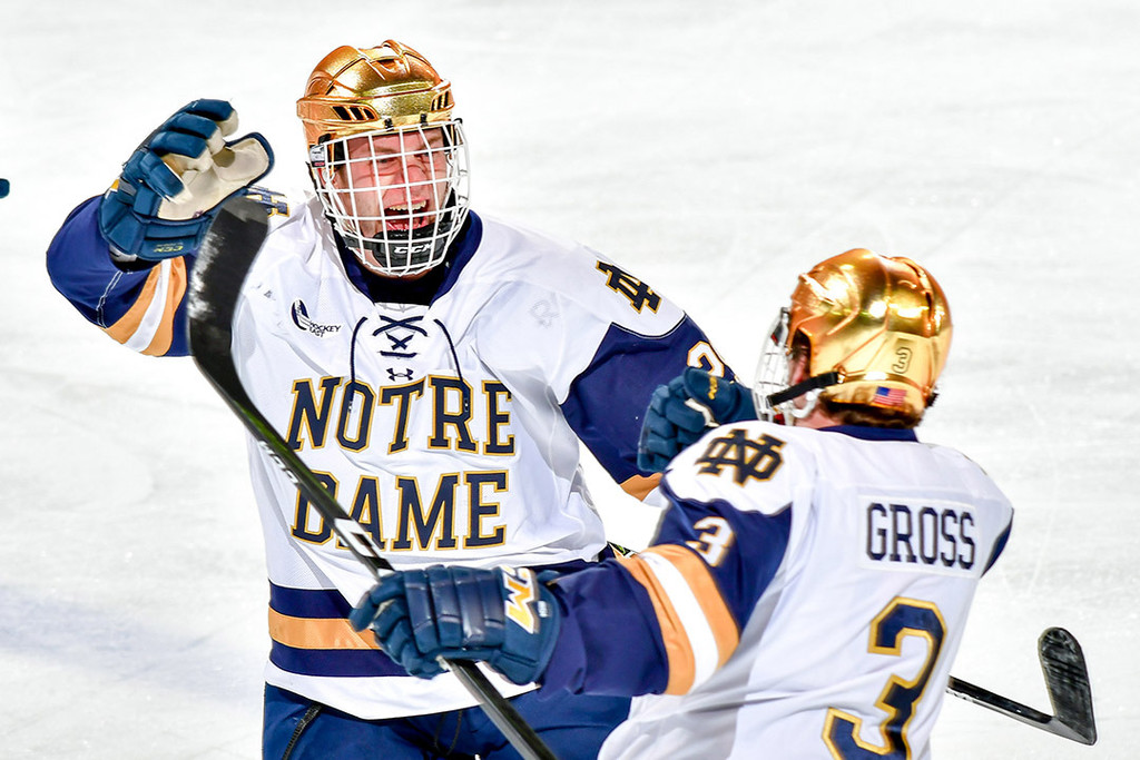 A Season in Photos: 2016-17 Notre Dame Hockey