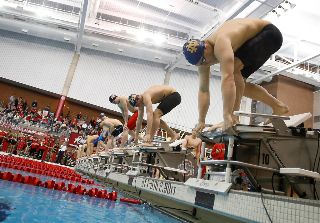 ND Swimming & Diving at Ohio State Invitational (USATSI)