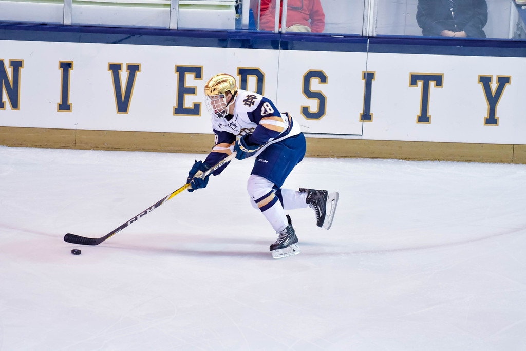 Notre Dame Vs. Alaska (Jan. 1, 2017)