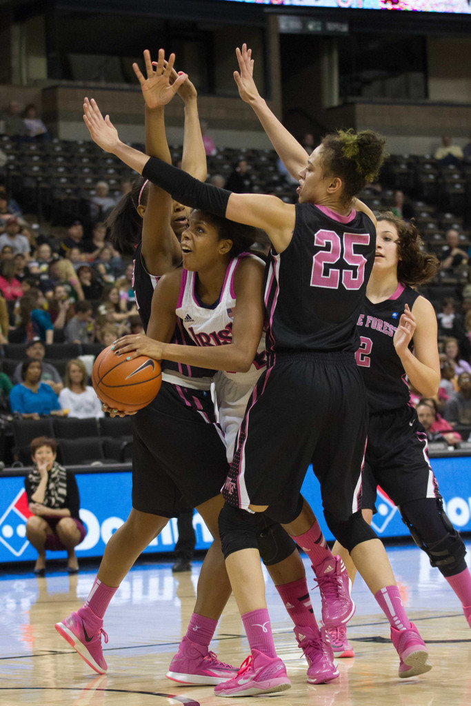 Notre Dame vs. Wake Forest - USATSI