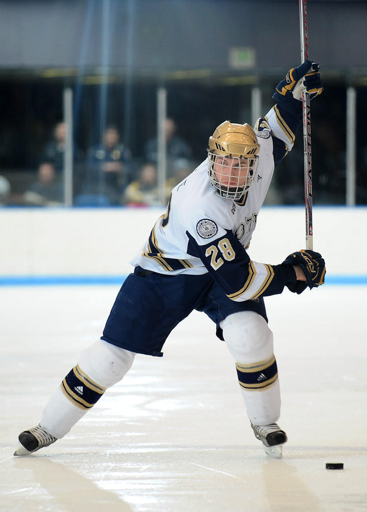 20 Questions with Ian Cole Sophomore defenseman Ian Cole was selected first team all-CCHA. He becomes the third Notre Dame player to take first team honors along with David Brown (in 2006-07) and Benoit Cotnoir (1998-99).