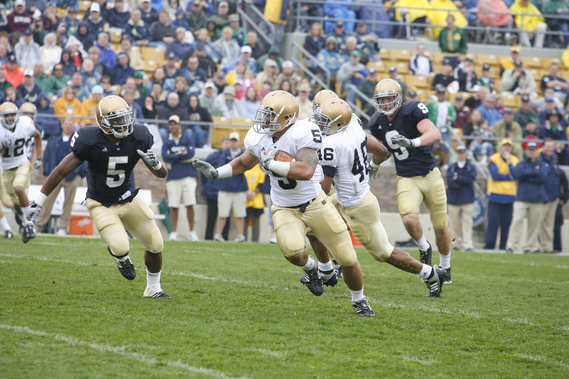 Game Format And Scoring Adjusted For 2012 Blue-Gold Game Manti Te'o leads the Irish defense against the Notre Dame offense Saturday in the 83rd Blue-Gold Game.
