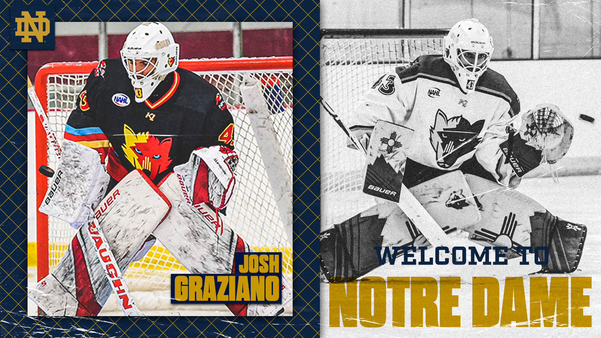 Hockey Adds Goaltender Josh Graziano Hockey Adds Goaltender Josh Graziano
