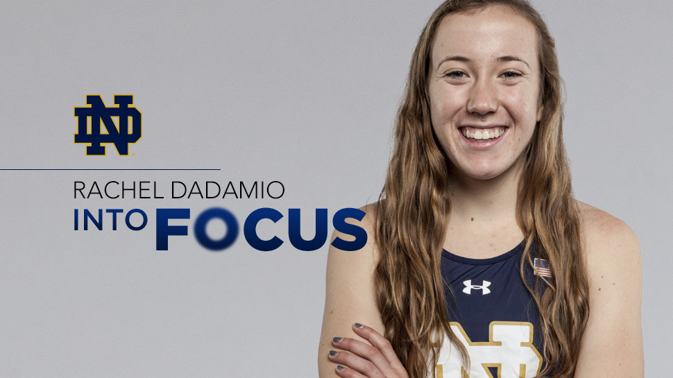 Into Focus: Rachel DaDamio Into Focus: Rachel DaDamio