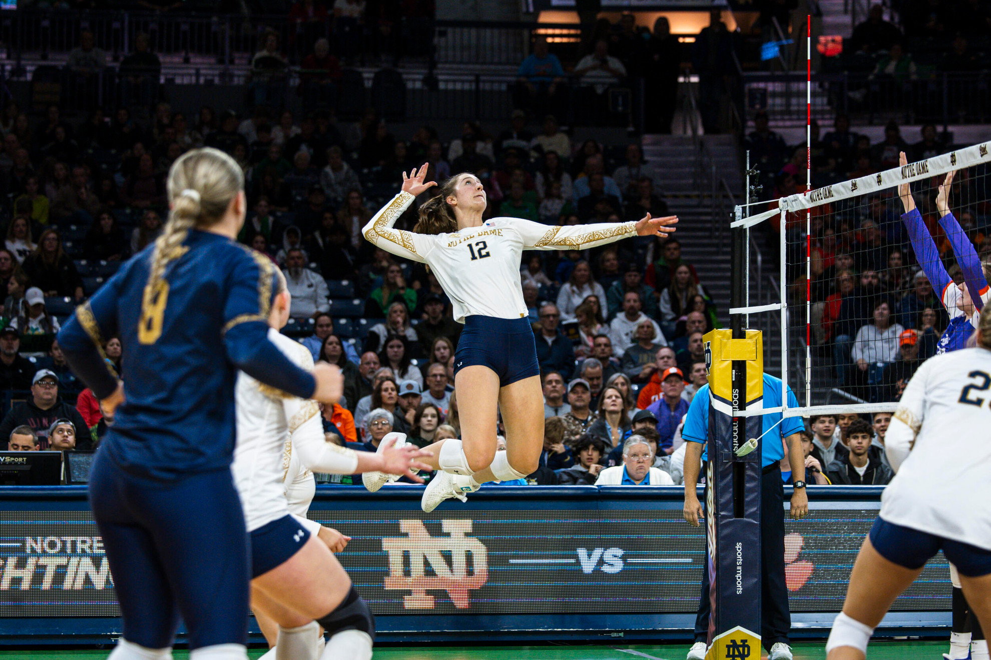 Palazzolo Earns All-ACC Second Team Honors Palazzolo Earns All-ACC Second Team Honors