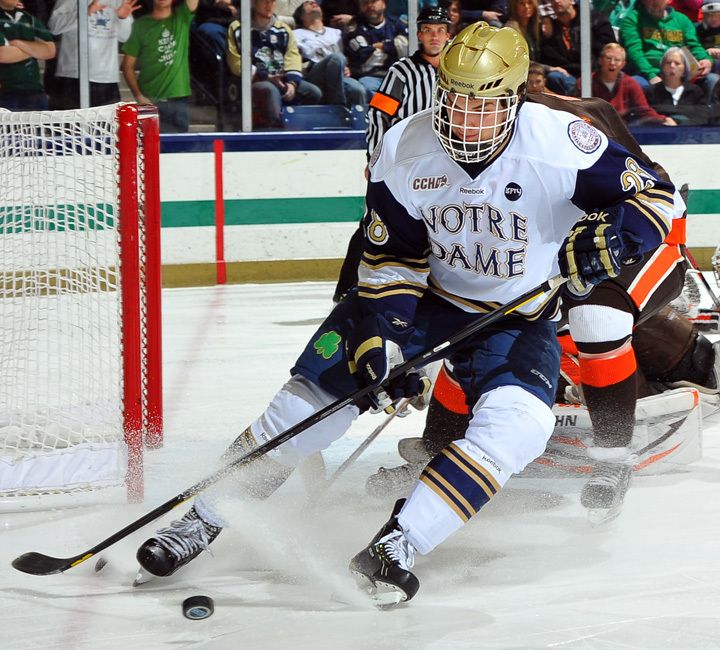 Junior defenseman Stephen Johns leads Notre Dame with seven assists on the season.