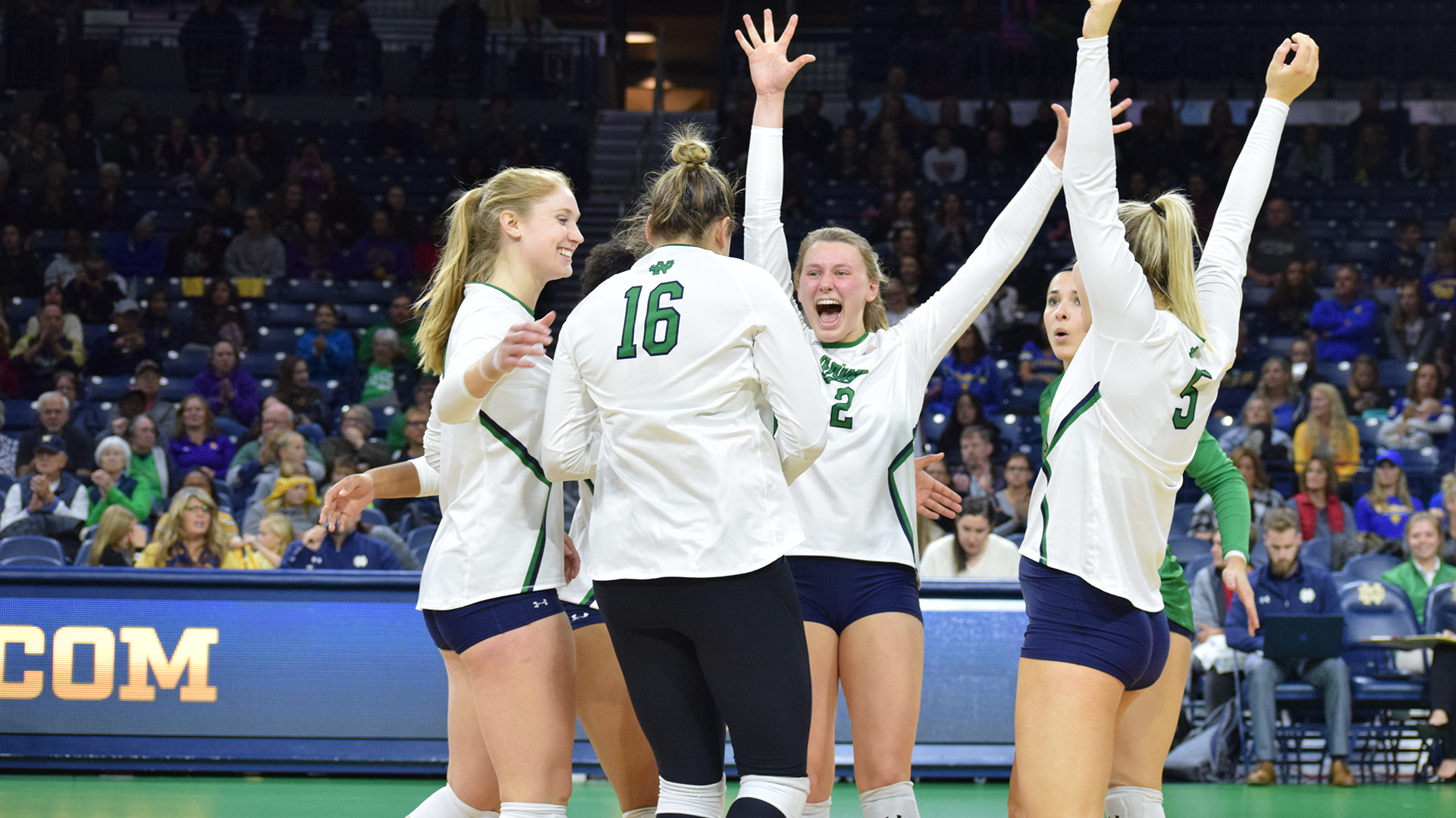 Irish Top Boston College in Five Sets Irish Top Boston College in Five Sets