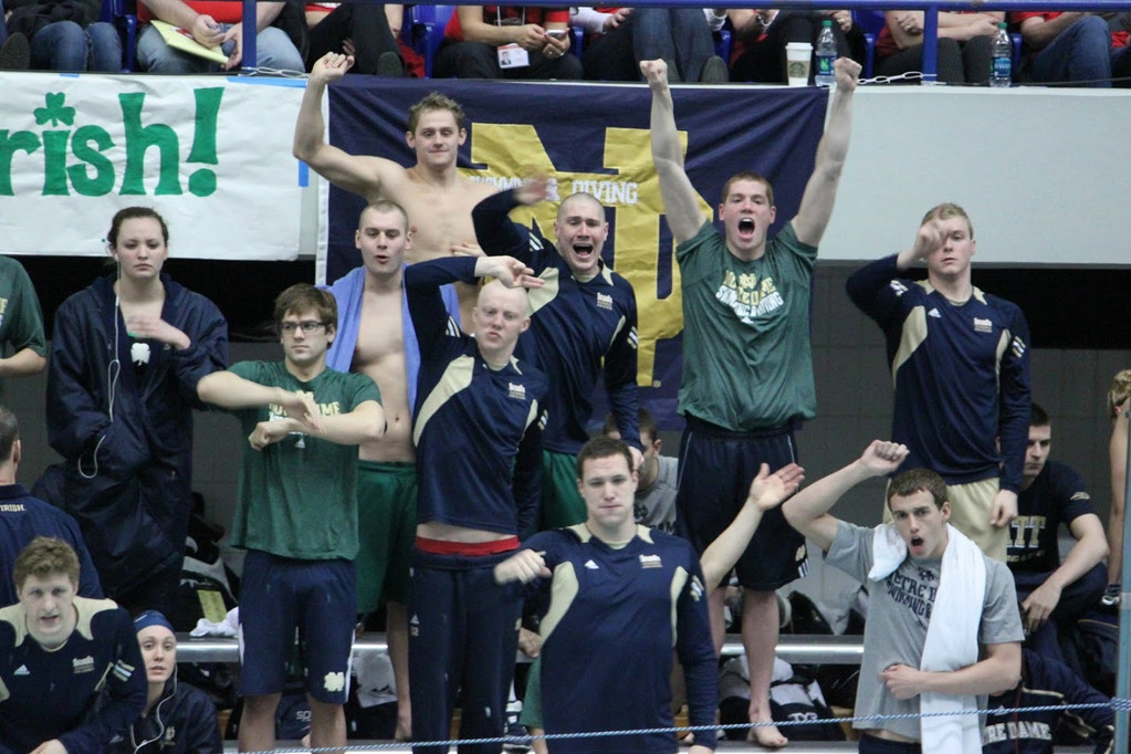 2013 BIG EAST Swimming Championships