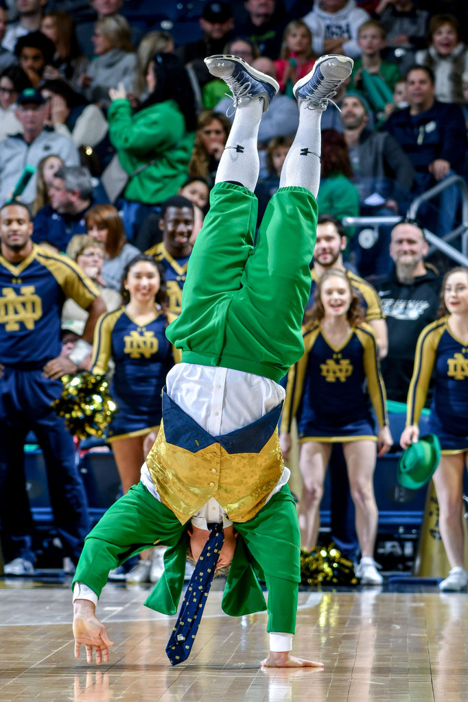 Notre Dame vs. Georgia Tech USATSI Gallery