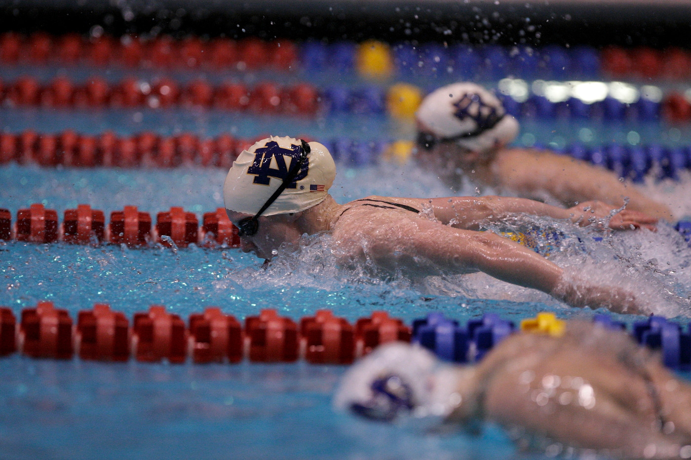 Women’s Swimming And Diving Welcomes No. 23 Northwestern For Dual Meet Big East Championships