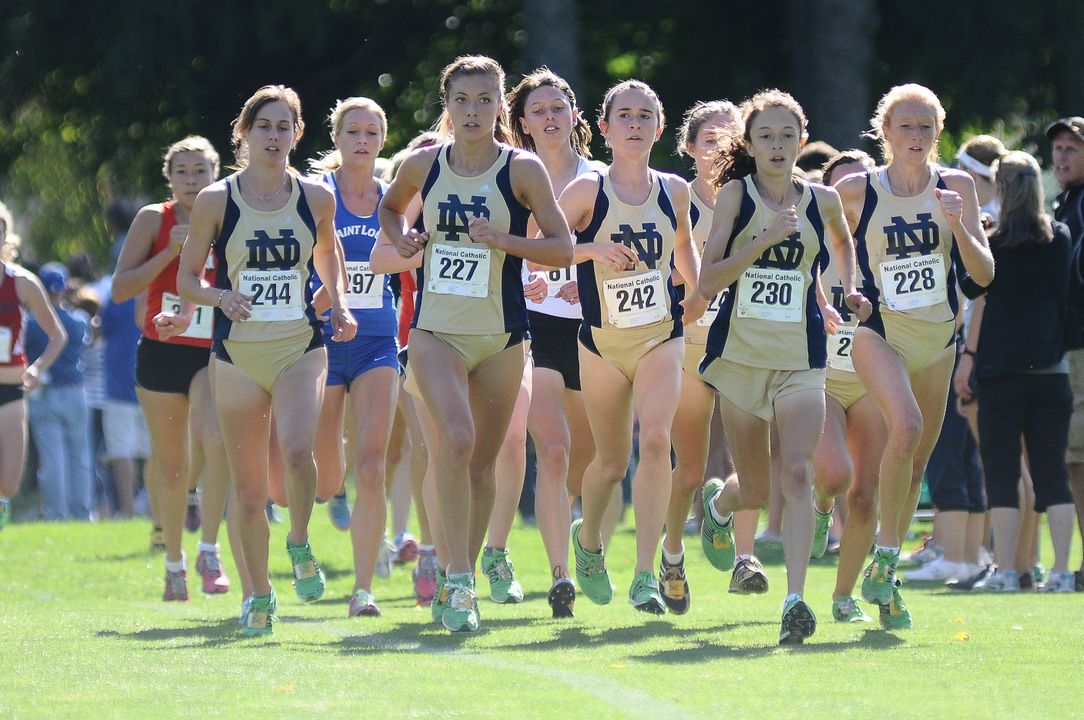 The Notre Dame cross country programs each received academic awards from the NCAA recently.