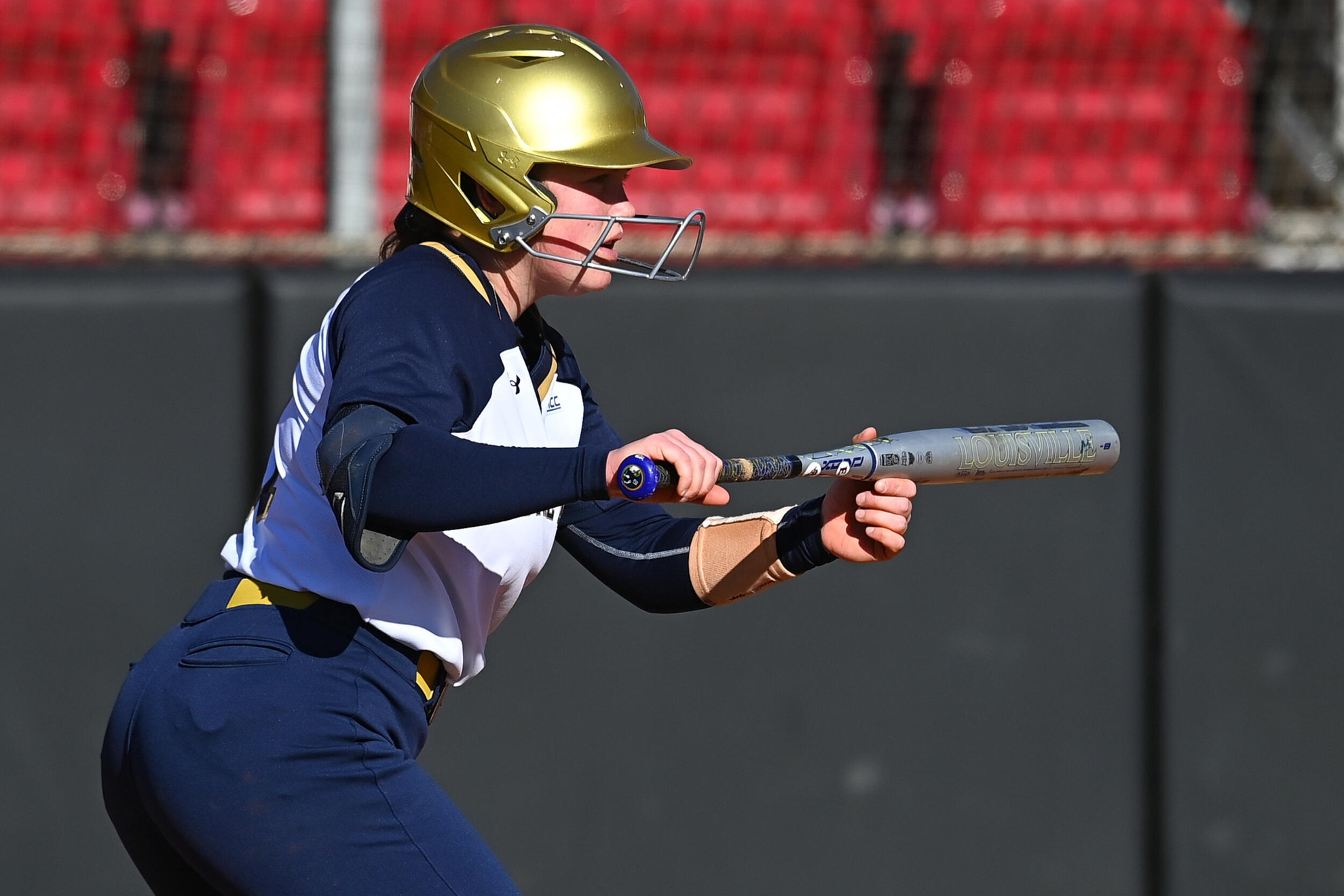 Irish Set to Host Virginia Tech in ACC Series Irish Set to Host Virginia Tech in ACC Series