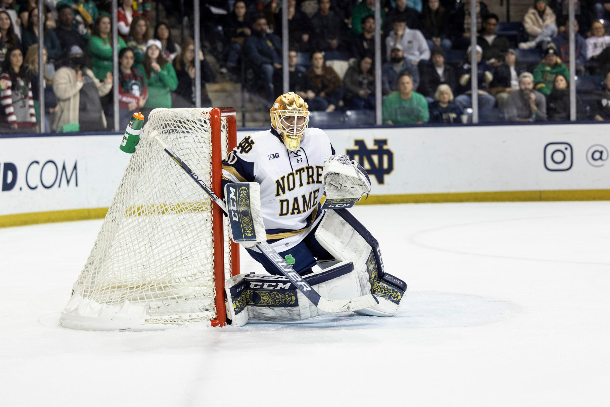 Bischel Tabbed Third Star Bischel Tabbed Third Star