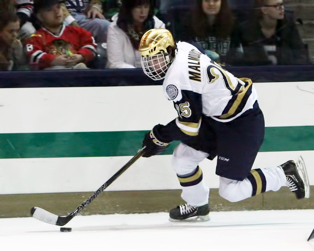 Notre Dame vs. Guelph Hockey