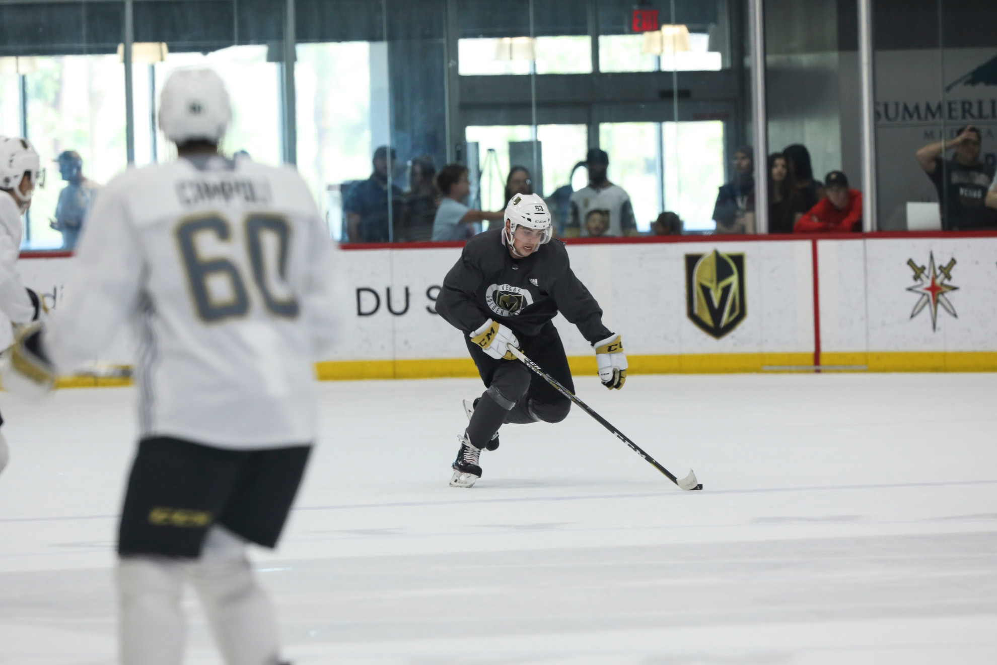 Irish Skaters Participate In NHL Development Camps Irish Skaters Participate In NHL Development Camps