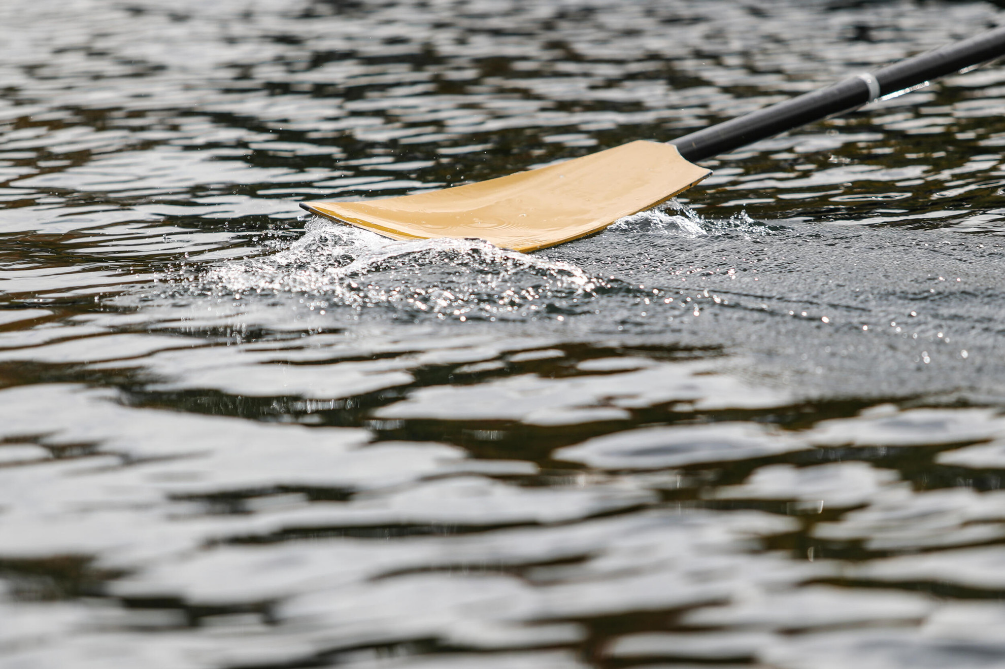 Rowing Concludes Cardinal Invite Rowing Concludes Cardinal Invite