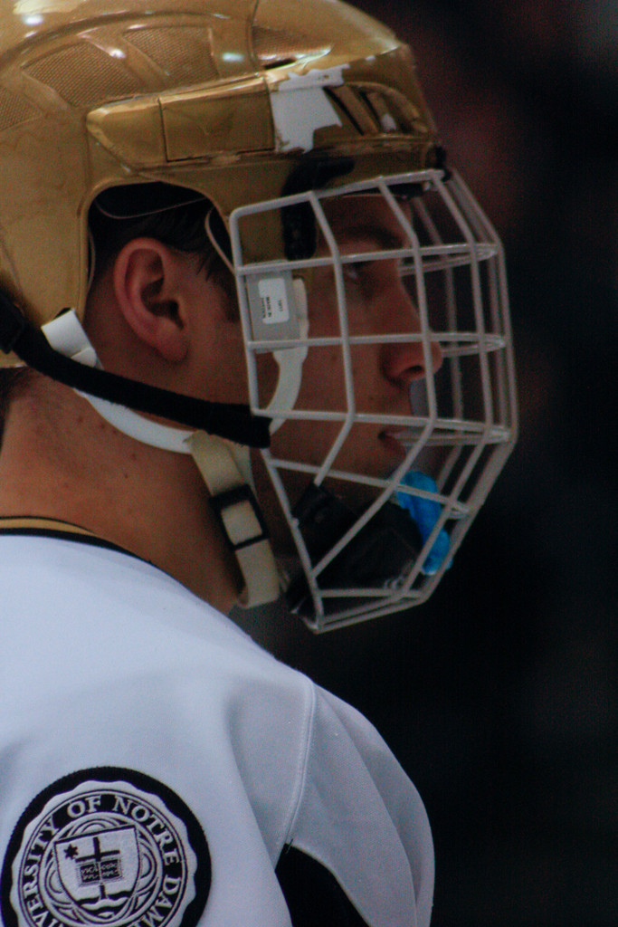 2/11 Men's Hockey vs. Bowling Green