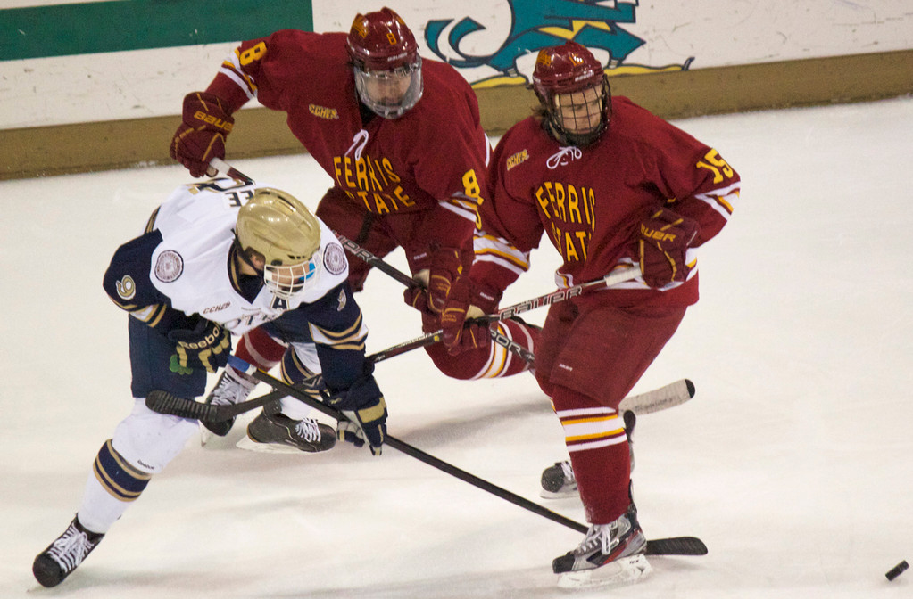 2/10 Hockey vs Ferris State