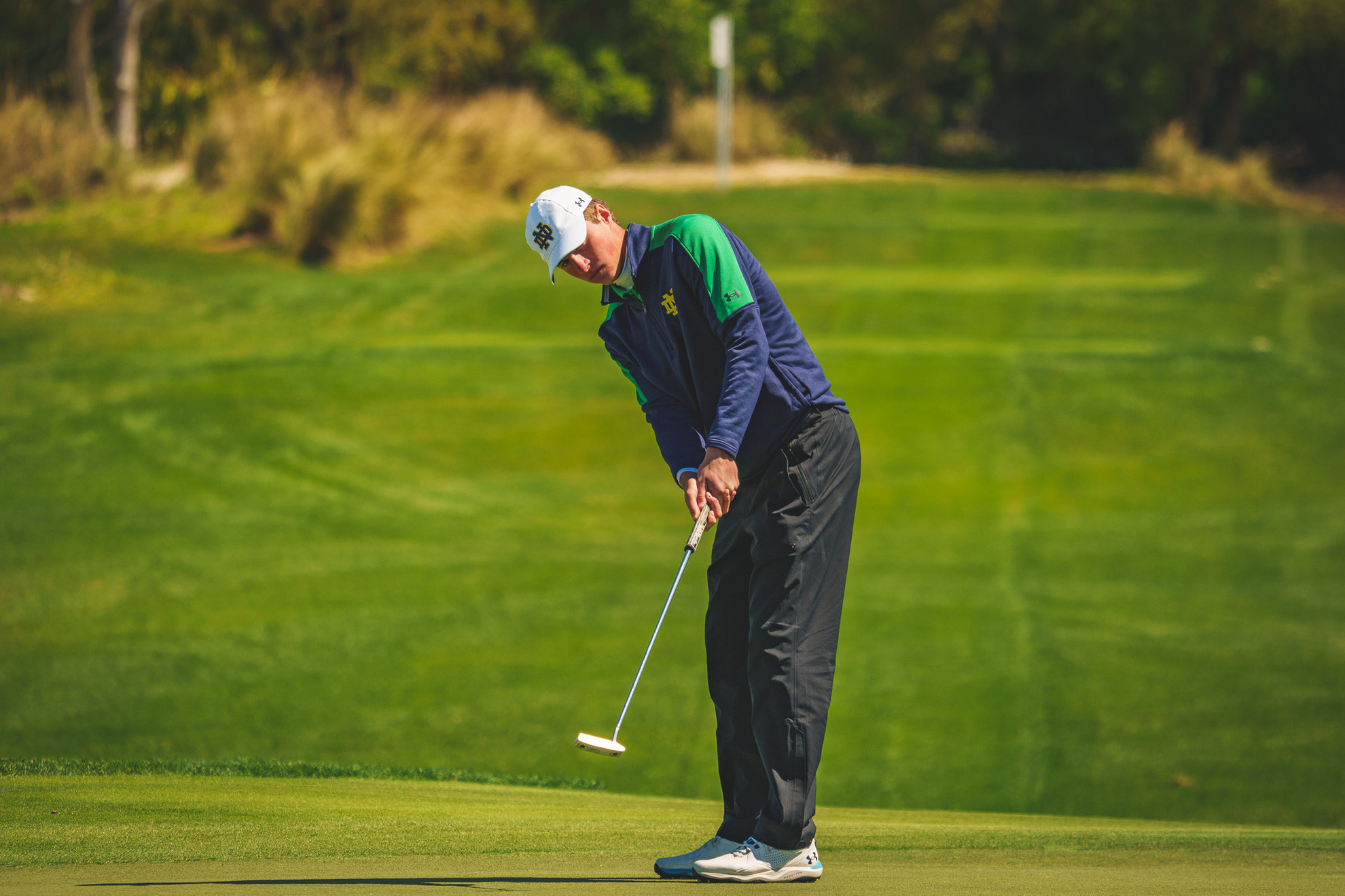 Stevens Leads Irish in Augusta Haskins Award Invite Stevens Leads Irish in Augusta Haskins Award Invite