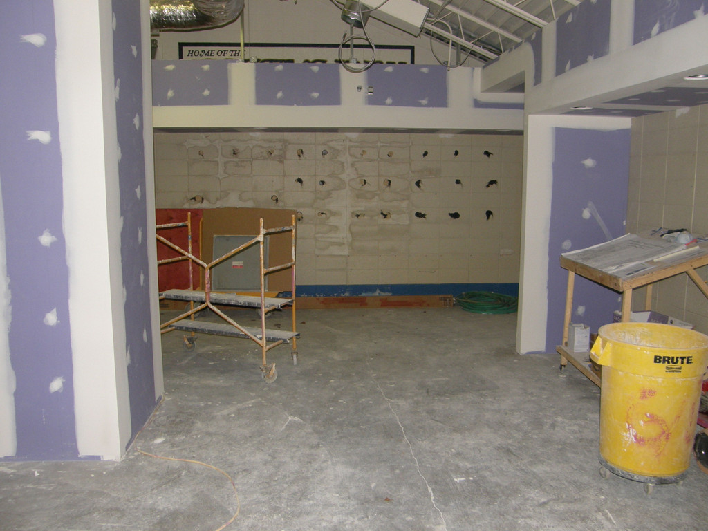 Irish Baseball Lockeroom Project