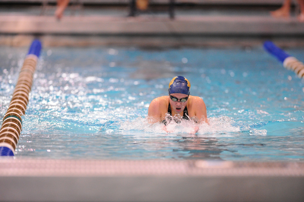 Shamrock Invitational - Jan. 31 - Feb. 1, 2014