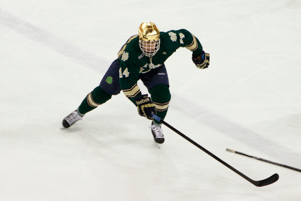 Hockey vs. Bowling Green- Senior Night