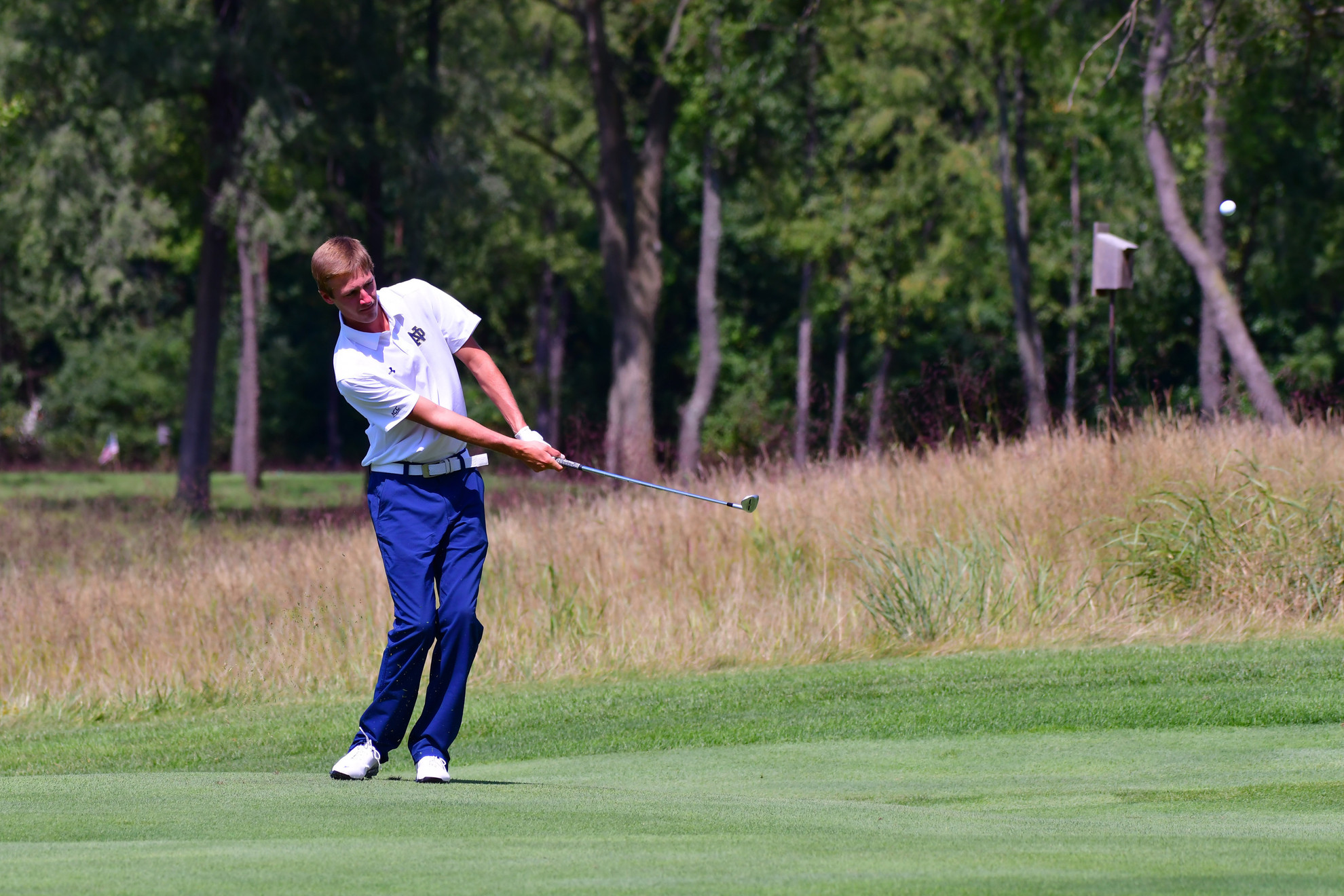 Ostrom Wins Individual Northern Intercollegiate Championship Hunter Ostrom