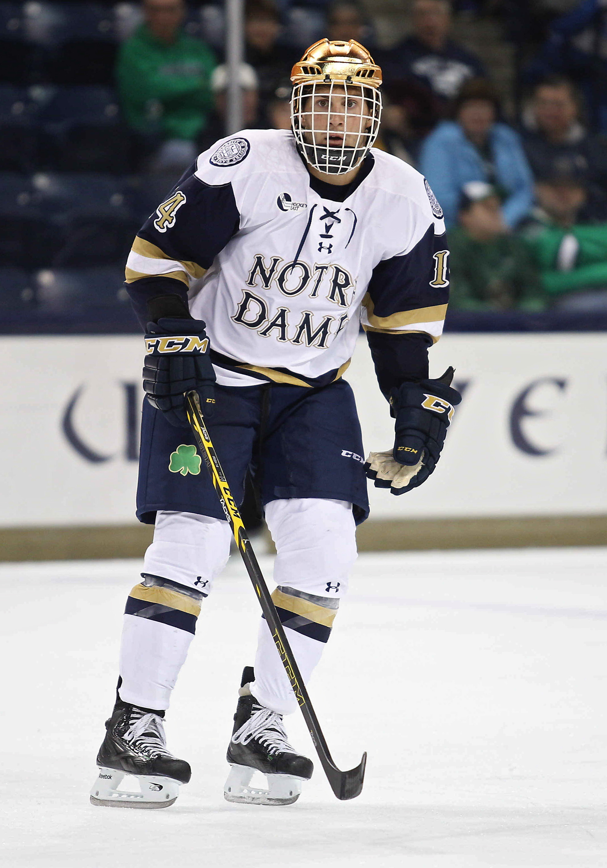 Irish To Play Host To Niagara University For First Time At Compton Family Ice Arena Junior Thomas DiPauli scored twice in Notre Dame's 3-2 win over Vermont.