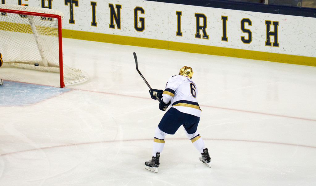 Notre Dame vs. Minnesota (Nov. 25, 2017)