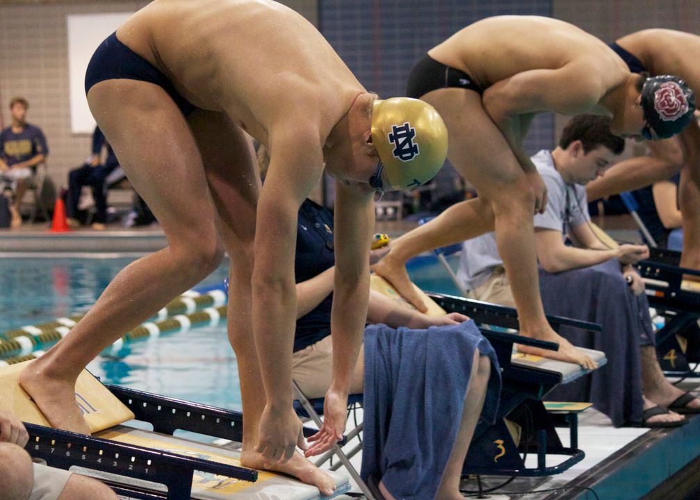 Sophomore Tom Anderson is one of three Irish swimmers to earn individual invites to this year's NCAA Championship Meet.
